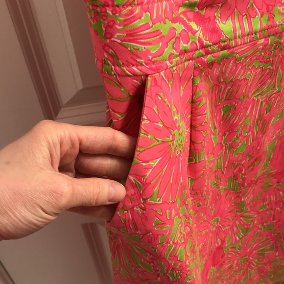 Lilly Pulitzer Dress - Picture 4 of 9